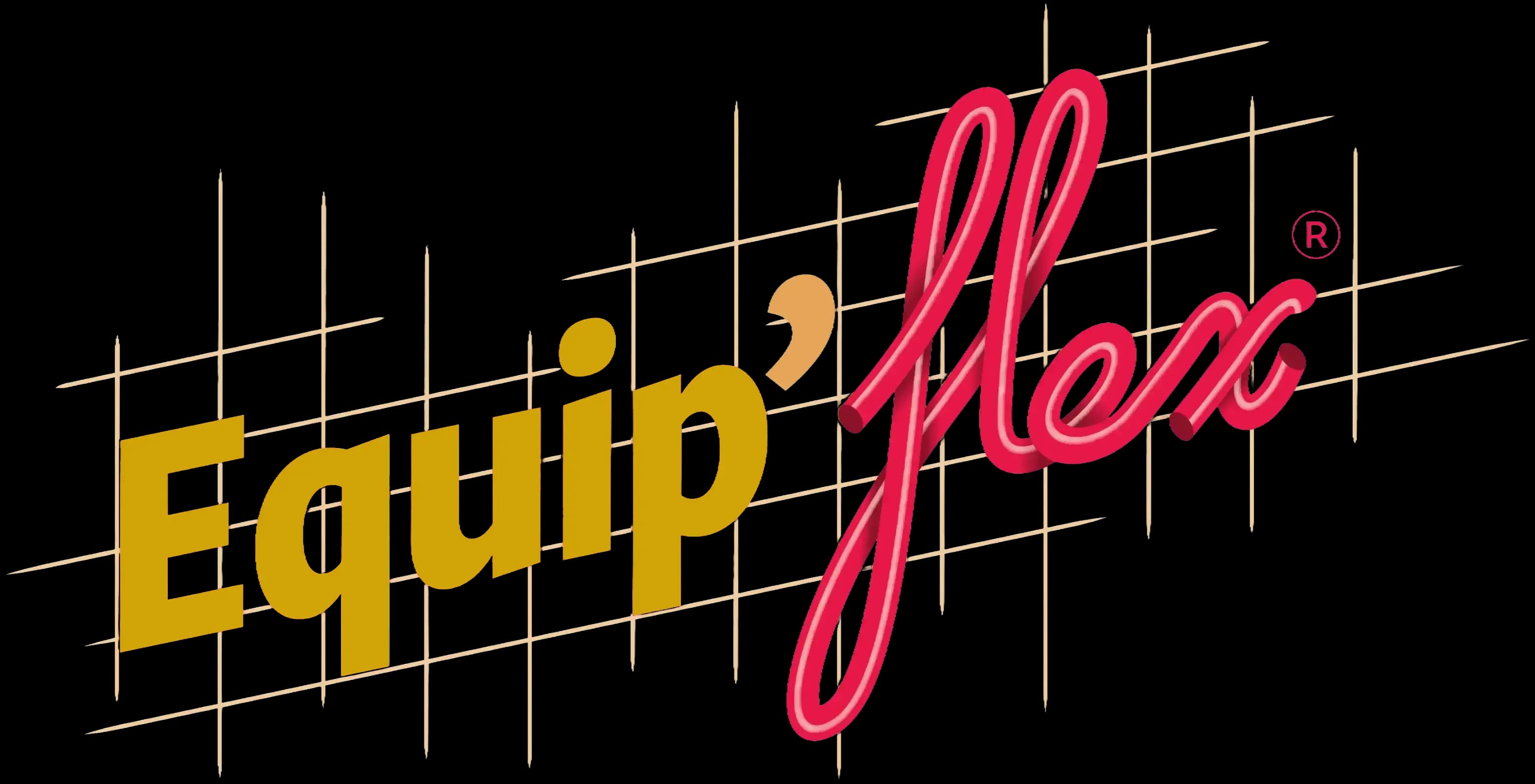 Logo Equip'Flex gaz